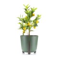 Donica Moss ECO wood zielona 34xh32 cm