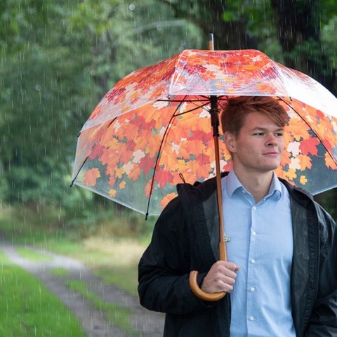 Parasol transparentny jesienne liście 94,5 cm