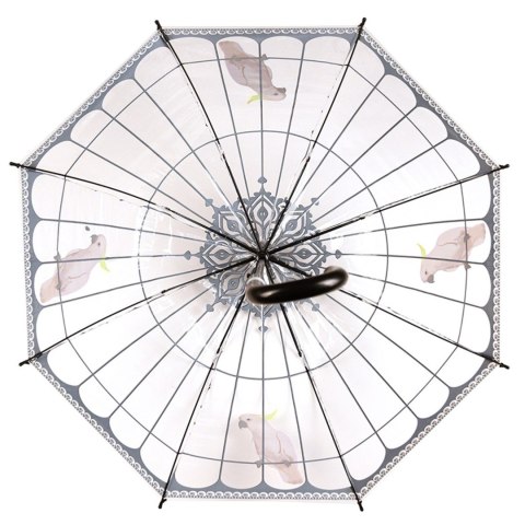Parasol transparentny klatka dla ptaków 81 cm