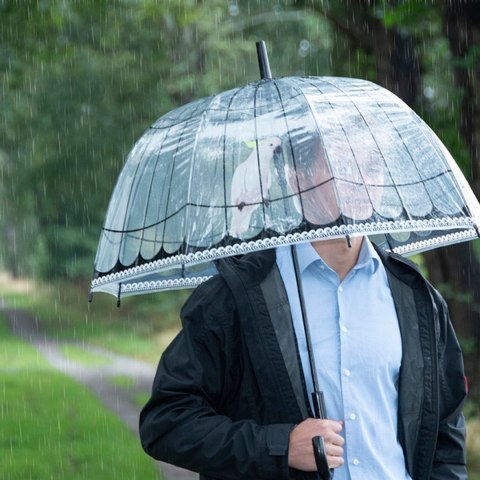 Parasol transparentny klatka dla ptaków 81 cm