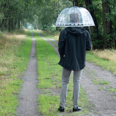 Parasol transparentny klatka dla ptaków 81 cm