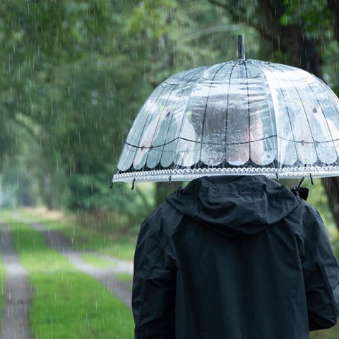 Parasol transparentny klatka dla ptaków 81 cm