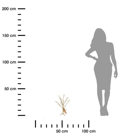 Drzewko świąteczne złote 30 led 40 cm