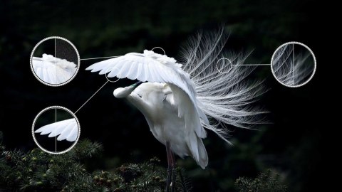 Telewizor QLED 55 cali 55C645