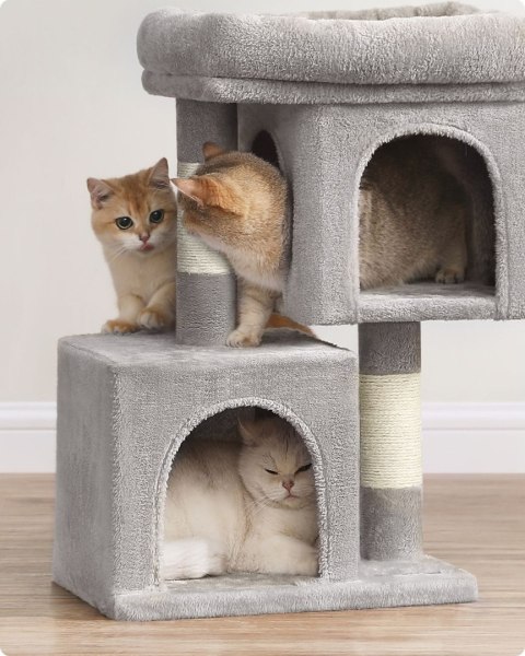 Drapak dla kociąt z 2 jaskiniami Przytulny drapak domek dla małych kotków wykonany z solidnej płyty MDF z 2 uroczymi jaskiniami 