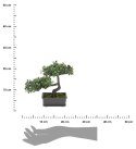 Sztuczne drzewko Bonsai 1 Roślina sztuczna bonsai w donicy wykonana z tworzywa sztucznego, o wymiarach 23x15x22 cm