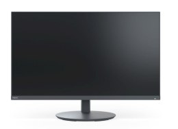 Monitor NEC 60005866 (24