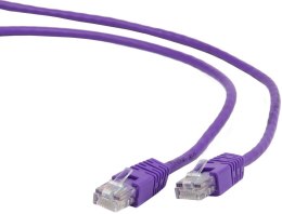 GEMBIRD Patchcord Cat.5e 0.5 m Fioletowy 0.5 Patchcord
