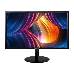 Monitor 22