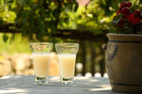 Calanques Szklanki 4 szt. 200 ml