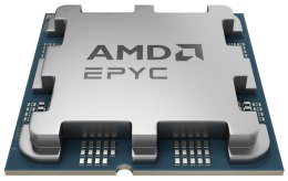 Procesor AMD EPYC 4244P 100-000001480 Tray