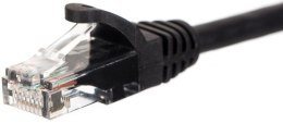 NETRACK RJ45 - RJ45 0.25 m Czarny 0.25 Patchcord