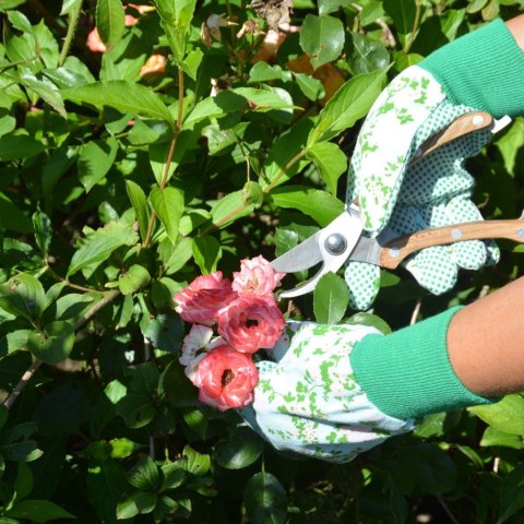 Rękawice ogrodowe z różami błękit