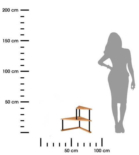 Półka narożna kuchenna 52x30x39 cm