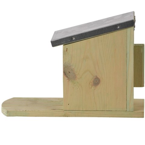 Karmnik dla wiewiórek