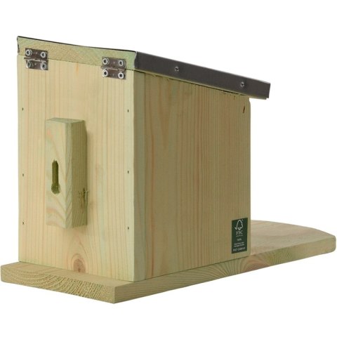 Karmnik dla wiewiórek