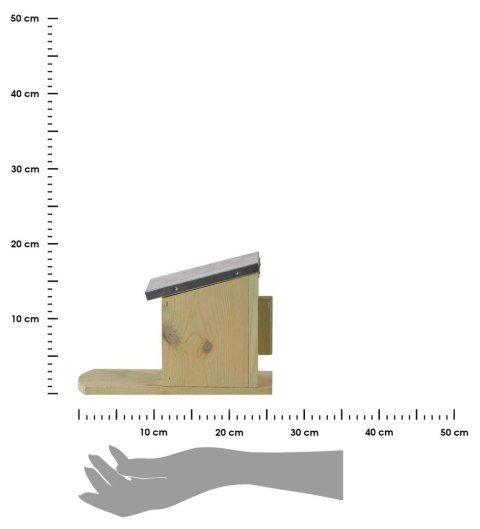 Karmnik dla wiewiórek