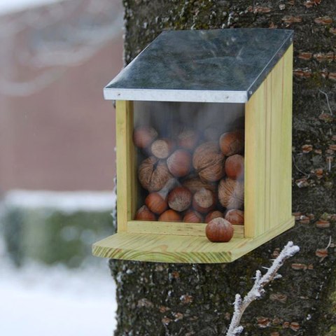 Karmnik dla wiewiórek
