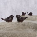 Poidełko dla ptaków Birds Lubin