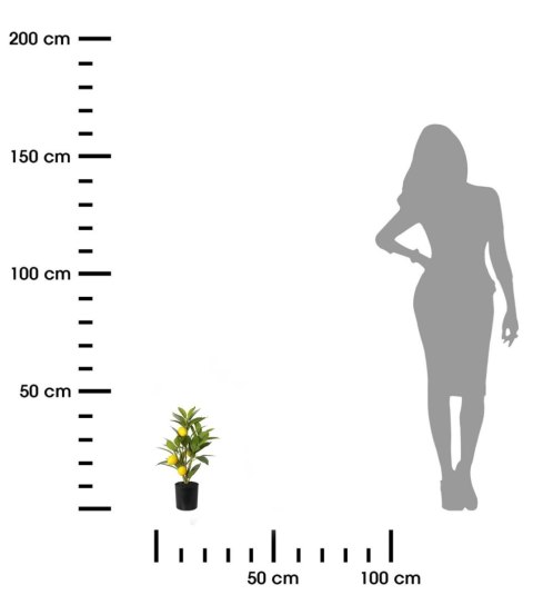 Cytrusowe drzewko w donicy 36 cm