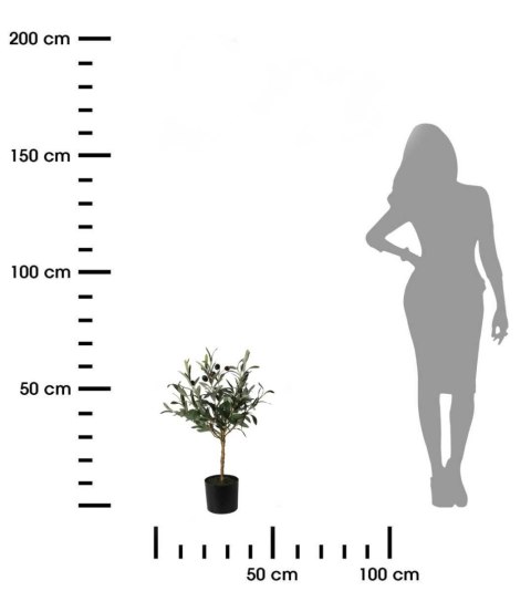 Oliwne drzewko w donicy 66 cm