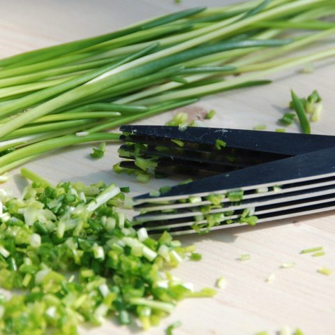 Nożyce do cięcia ziół i szczypiorku