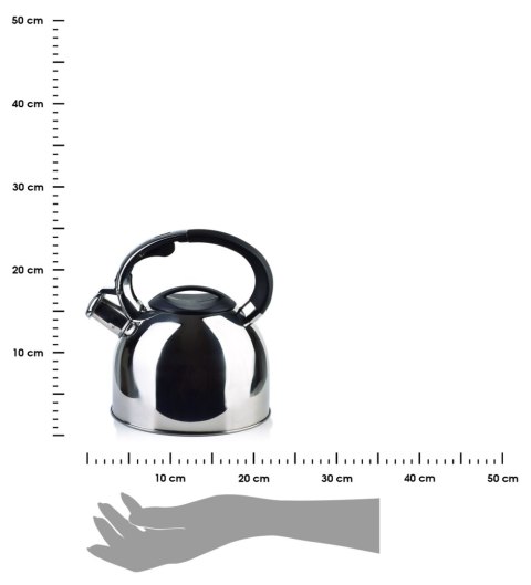 Czajnik Sten Silver 2,5L