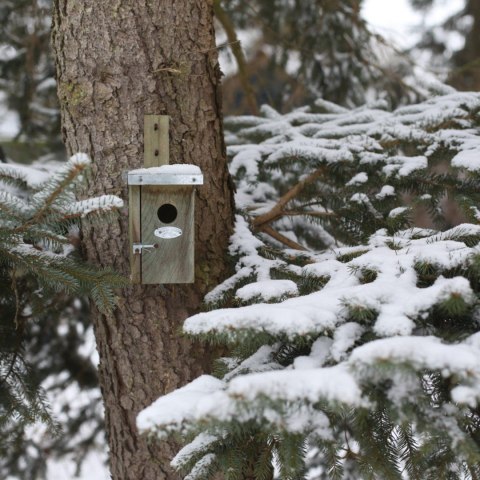 Budka lęgowa dla ptaków 25x13,5 cm