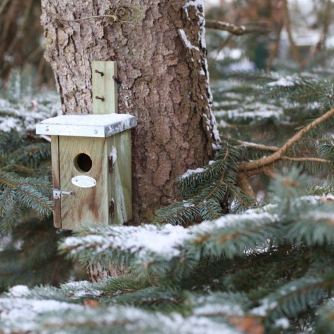 Budka lęgowa dla ptaków 25x13,5 cm