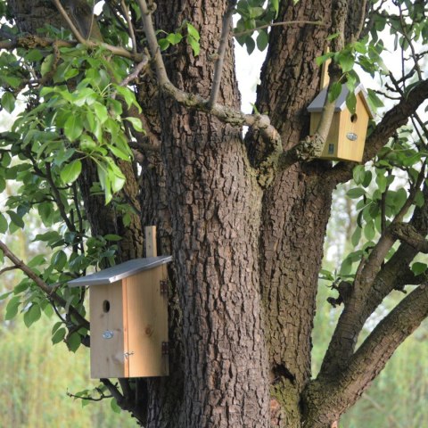 Budka lęgowa dla ptaków z cynkowym dachem 30 cm