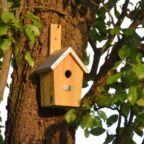 Budka lęgowa dla ptaków z cynkowym dachem 30 cm