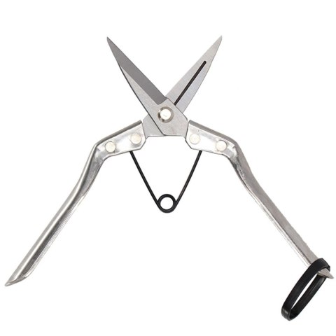 Nożyce do pielęgnacji roślin domowych