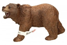 Niedzwiedź Grizzly