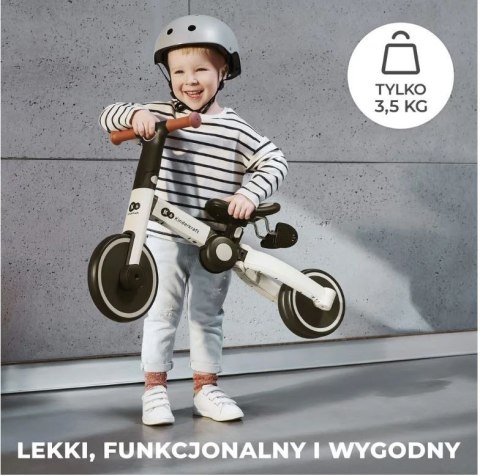 Rowerek trójkołowy 4TRIKE SILVER GREY