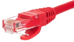 NETRACK RJ45 - RJ45 0.25 m Czerwony 0.25 Patchcord