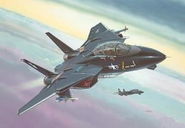 Model plastikowy F-14A 'Black Tomcat'