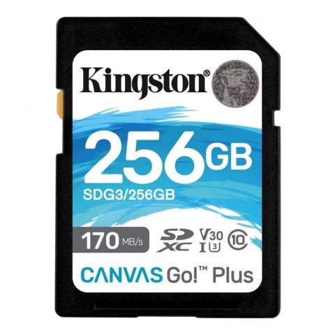 Karta pamięci KINGSTON 256 GB