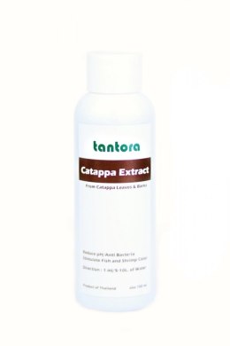 Tantora Cattapa Extract 100ml wyciąg z ketapangu