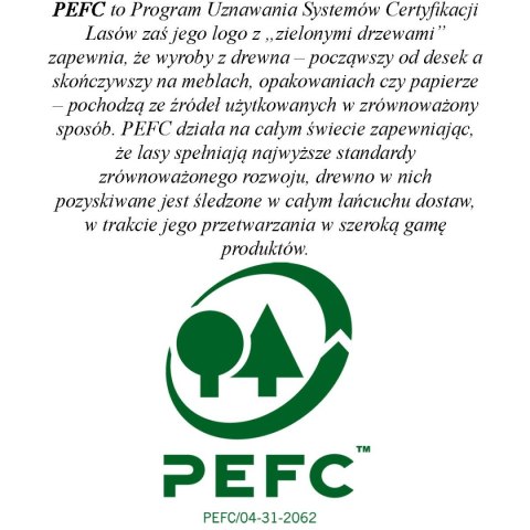 STÓŁ DO TENISA STOŁOWEGO SPONETA S1-26i