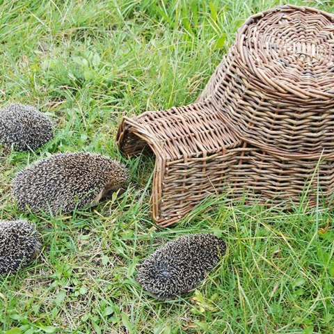 Domek dla jeża wiklinowy
