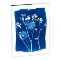 Kartki i Koperty 8 zest. Cyanotype