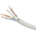 GEMBIRD CAT5e UTP 100 m 100 Kabel