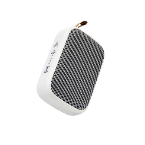 Przenośny bezprzewodowy głośnik Bluetooth V5.0 Biały