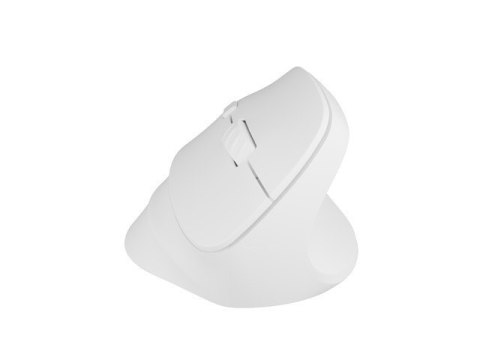 Mysz bezprzewodowa wertykalna Crake 2 BT 5.2 + 2.4GHz biała
