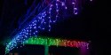 Inteligentne lampki sople Icicle 190 RGB LED, 5x0,5 m, IP44, przezroczysty przewód
