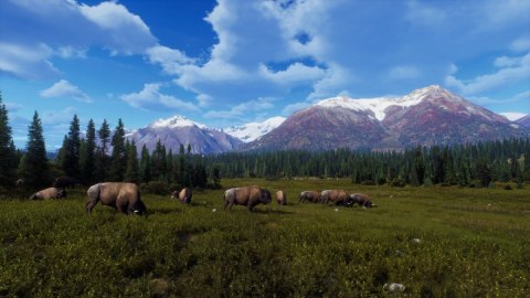 Gra PlayStation 5 Way of the Hunter Wild Expeditions