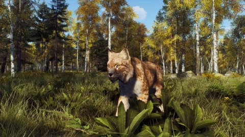 Gra PlayStation 5 Way of the Hunter Wild Expeditions