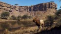 Gra PlayStation 5 Way of the Hunter Wild Expeditions