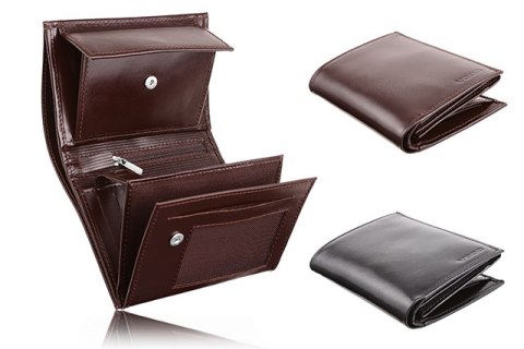 Skórzany portfel męski PPM4 BROWN