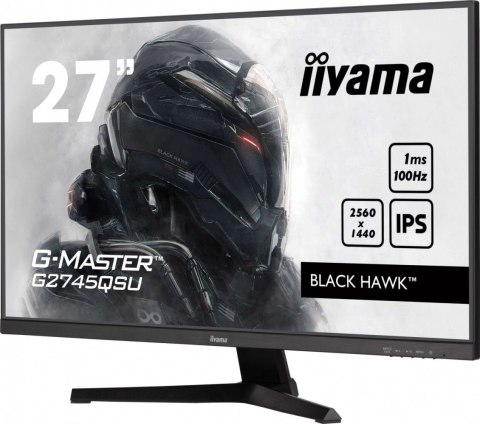 Monitor 27 cali G2745QSU-B2,IPS,QHD,100Hz,1ms,2xUSB,300cd